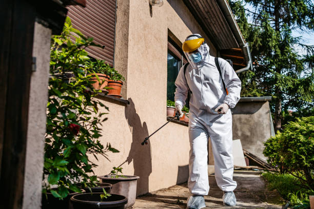Best Pest Control Near Me in Greenup, IL