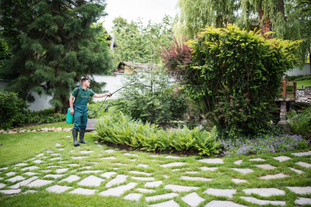 Best Best Pest Control Companies  in Greenup, IL