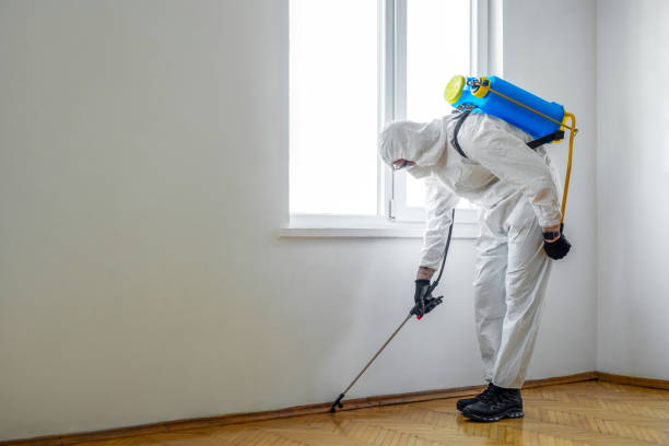 Best Pest Prevention Services  in Greenup, IL