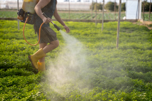 Best Commercial Pest Control Services  in Greenup, IL