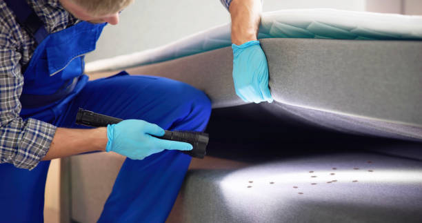 Best Flea Control Services  in Greenup, IL
