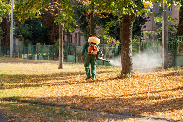Best Insect Control  in Greenup, IL