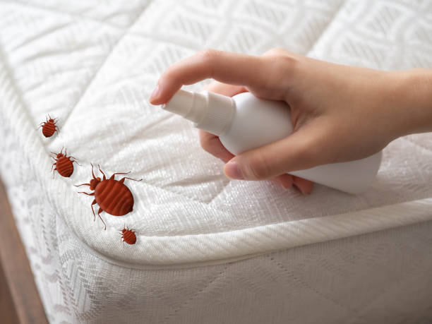 Best Cockroach Control Services  in Greenup, IL