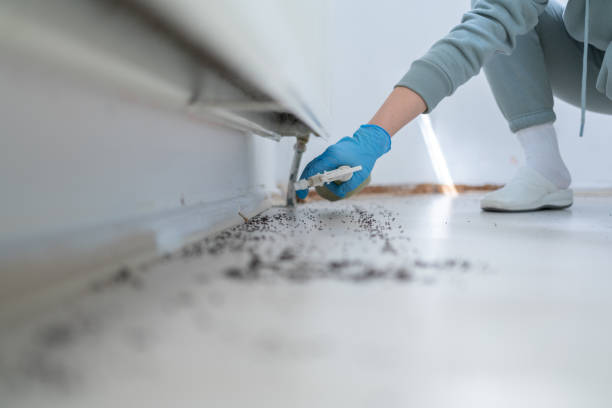 Flea Control Services in Greenup, IL